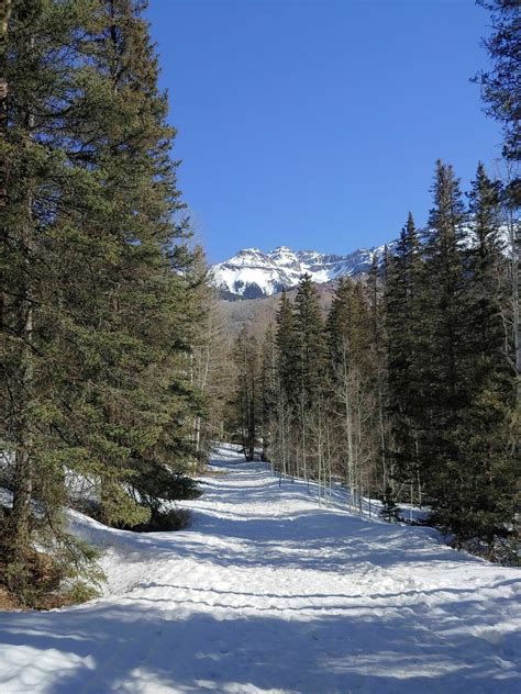 Photos of Bear Creek Trail - Colorado | AllTrails