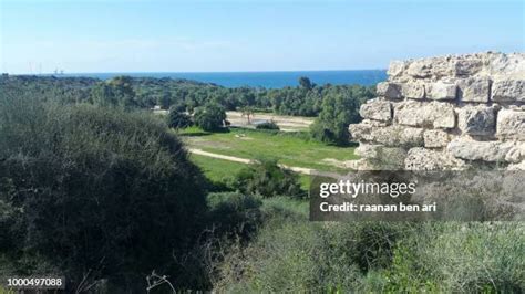 38 Ashkelon National Park Stock Photos, High-Res Pictures, and Images ...