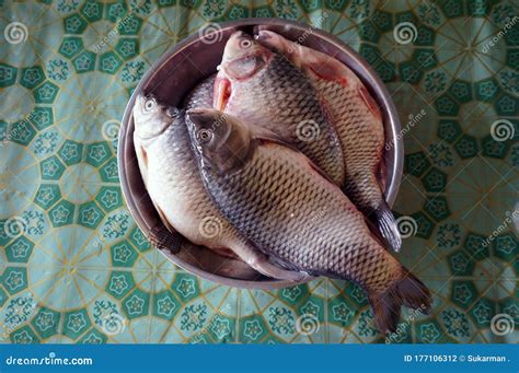 Fresh Golden Belly Barb in Fish Market Stock Photo - Image of mekong ...