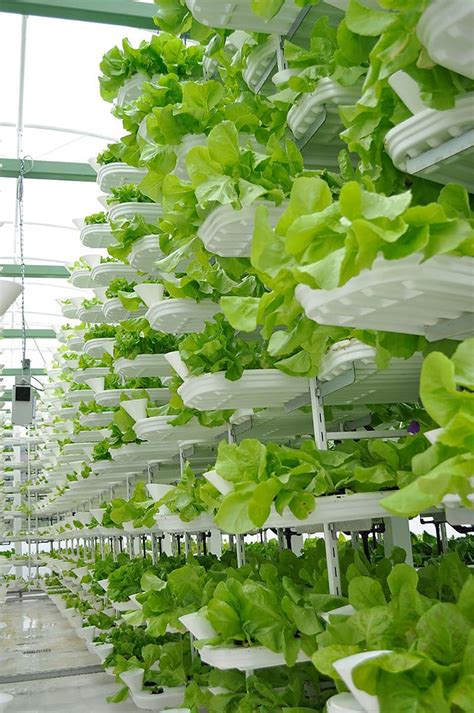 What is vertical farming