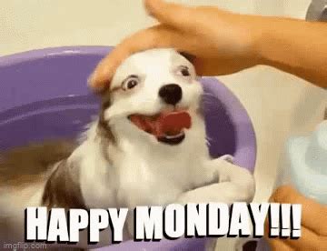 It's Monday! - Imgflip