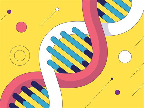 DNA by Aki Tanninen on Dribbble