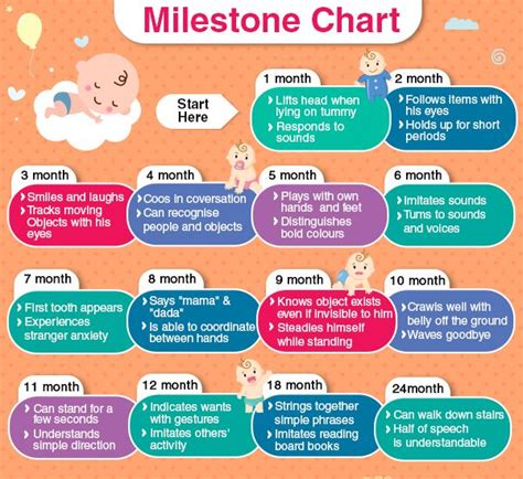 Baby Development Chart