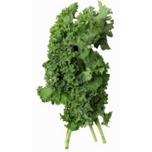 Cheesy Kale Chips | Kale recipes healthy, Green leafy vegetable, Juicing benefits