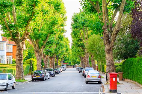 Street Lined With Trees In West Hampstead Of London Stock Photo - Download Image Now - iStock