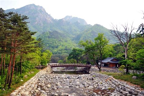 Gangwon-do, a mountainous province located in northeast South Korea, is ...