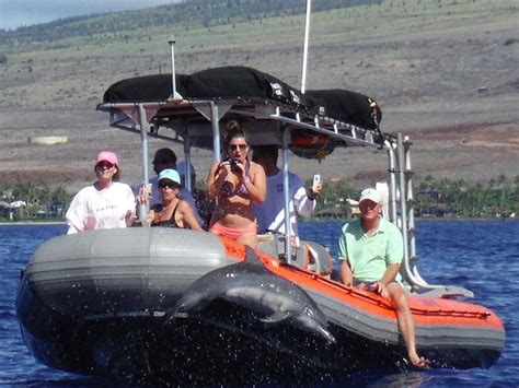 CAPTAIN STEVE'S RAFTING (Lahaina) - 2023 What to Know BEFORE You Go