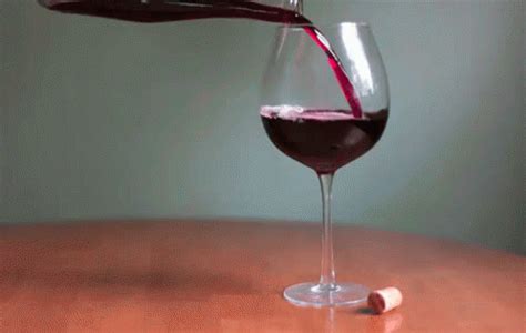 Wine GIF - Tenor GIF Keyboard - Bring Personality To Your Conversations | Say more with Tenor ...