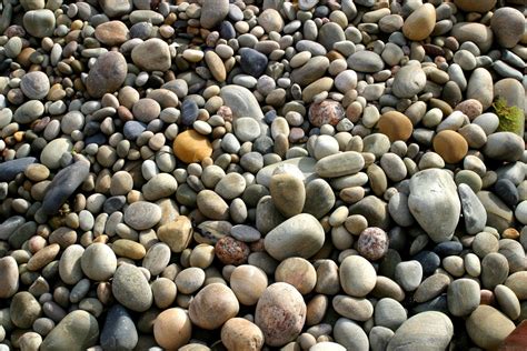 Pebbles on the beach Free Photo Download | FreeImages