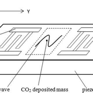 Schematic of surface acoustic wave sensor. | Download Scientific Diagram