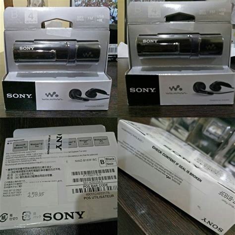 Sony Walkman NWZ-B183F MP3 Player with Built-in USB, Audio, Portable ...