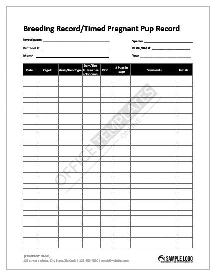 28+ Free Worksheet Templates in MS Word - Editable|Printable