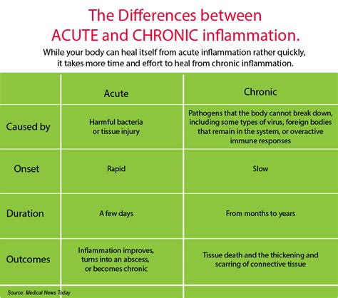 What is Inflammation? | Dirt to Dinner