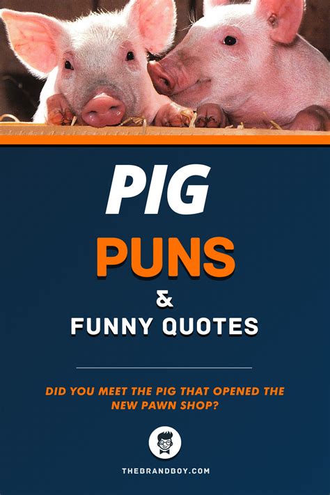 55+ Best Pig Puns and Funny Quotes | Funny quotes, Pig quotes funny, Pig puns