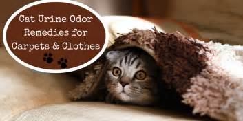The Best Cat Urine Odor Remedies for Your Clothes and Carpet