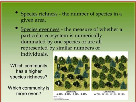 What Does Species Richness Mean