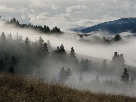 7 Types of Fog You Didn't Know Had Names