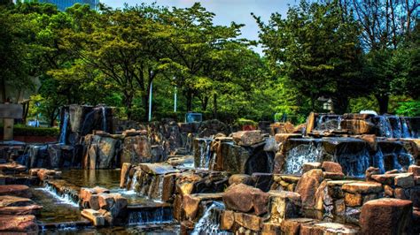 Download HDR Tree Waterfall Earth Photography Park HD Wallpaper