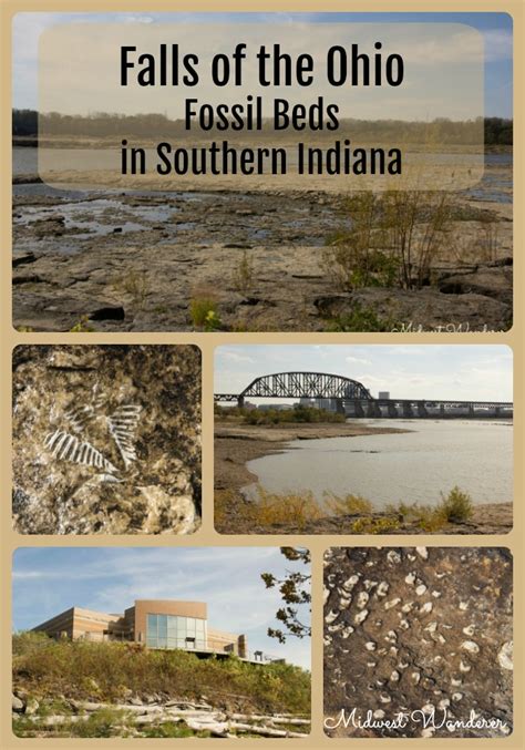 Exploring Falls of the Ohio Fossil Beds - Midwest Wanderer