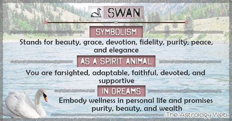 What do Swans Symbolize Swan is a symbol of grace, beauty, devotion, love, fidelity, purity ...