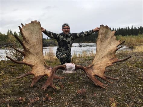 Outdoors - Took Giant Moose in Alaska | Sports | advertisergleam.com