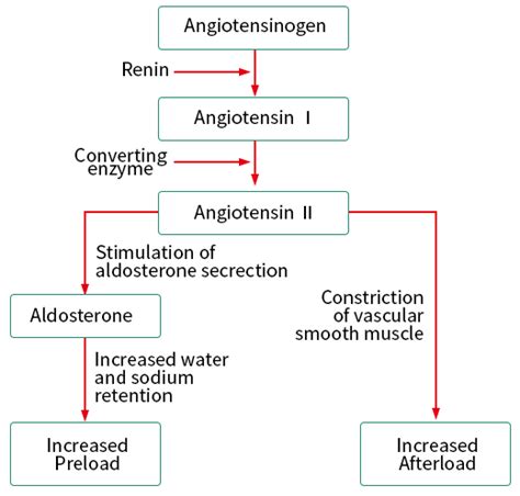 Renin-enzyme