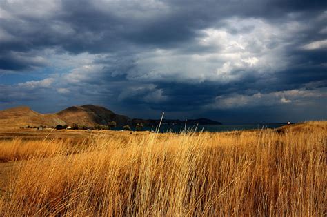 Dry steppe | Steppe, Landscape, Grassland