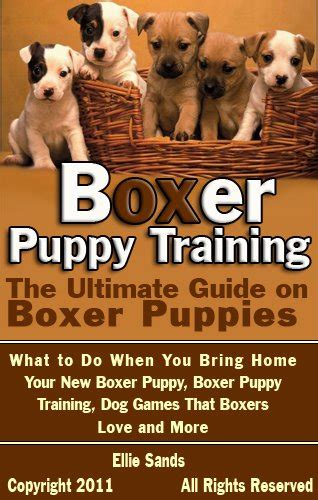 Boxer Puppy Training: The Ultimate Guide on Boxer Puppies, What to Do ...