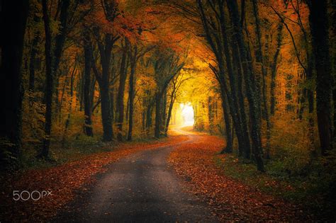 Autumn road | Scenery, Landscape photos, Road