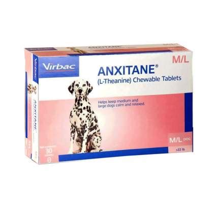 14 Best Dog Anxiety Medication & Products (2019)