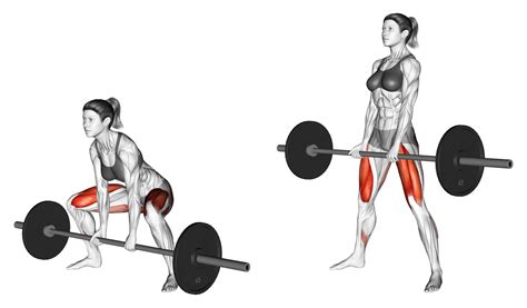 Sumo Deadlift: Benefits, Muscles Used, and More - Inspire US