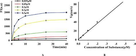 Kinetic study of DNase I (A) time scan results of the reaction with ...