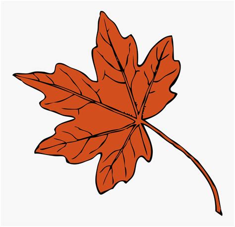 Maple Leaf Drawing Autumn Leaf Color Red Maple Cc0 - Maple Leaf Clipart, HD Png Download - kindpng