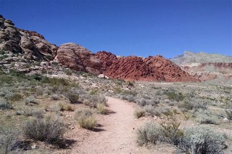 Calico Basin: Las Vegas Attractions Review - 10Best Experts and Tourist ...