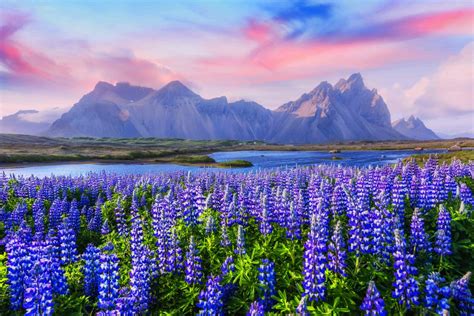 Stokksnes Peninsula - Iceland Travel Guide