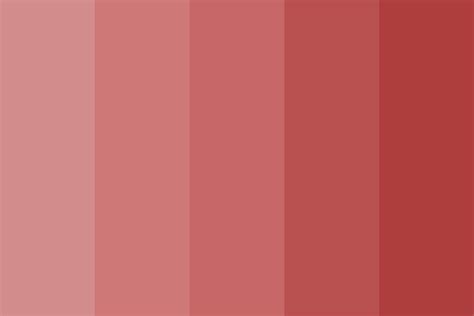 shades of salmon Color Palette