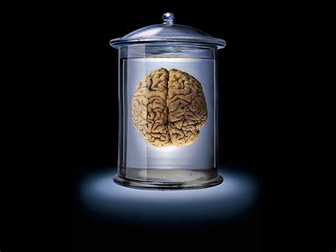 1920x1080px | free download | HD wallpaper: human brain in a jar clipart, glass, brown, blue ...