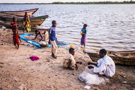 Famine in Somalia: Causes and Solutions - Social Science in ...