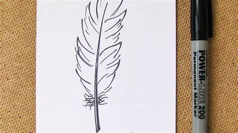 how to draw a feather for beginners - Unforgettable History Photo Galery