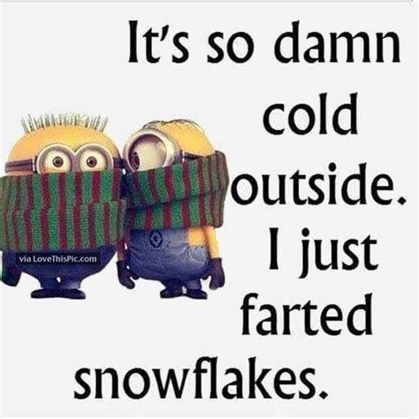 Its So Cold I Just Farted Snowflakes | Minions funny, Funny minion pictures, Funny minion quotes