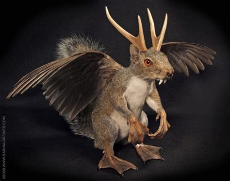 TAXIDERMY ART | FANTASY AND FICTION | Taxidermy art, Taxidermy, Mythological creatures