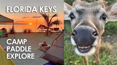 Florida Keys Camping w/ Key Deer, Paddling & Exploring Big Pine, Looe ...