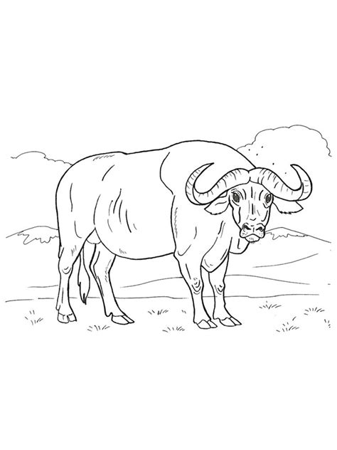 Buffalo Coloring Pages - Best Coloring Pages For Kids