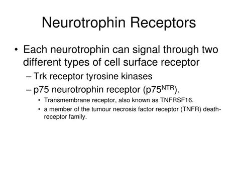 PPT - Neurotrophin Signaling (Trk Signaling Pathway) PowerPoint ...