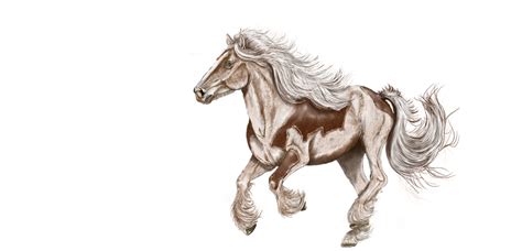 Horse Digital Painting Drawing · Free image on Pixabay