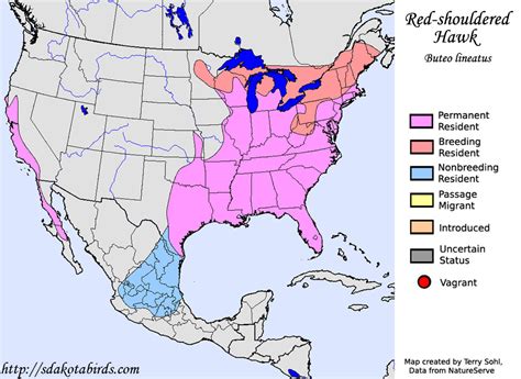 Red-shouldered Hawk - Species Range Map