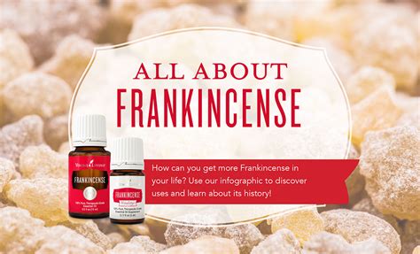 How to use Frankincense Essential Oil | Young Living Blog