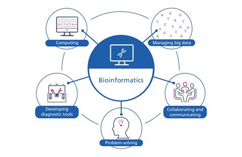 What is bioinformatics? - Genomics Education Programme