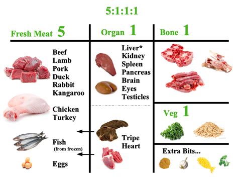 The Ever-Evolving World of Canine Nutrition... - Dogs First