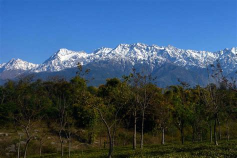 Hill Stations In North India | Please To Visit in Palampur | Times of India Travel